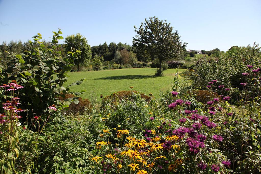 La Citadelle D'Hututu Bed & Breakfast Avesnes-sur-Helpe Exterior foto